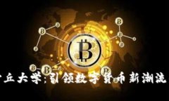 探索沙丘大学：引领数字货币新潮流的学府