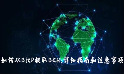 如何从BitP提取BCH：详细指南和注意事项