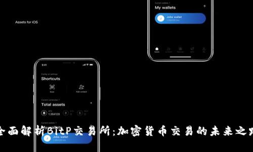 全面解析BitP交易所：加密货币交易的未来之路