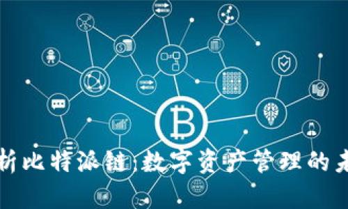 深入解析比特派链：数字资产管理的未来之路