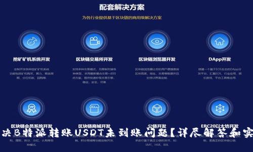 如何解决B特派转账USDT未到账问题？详尽解答和实用技巧