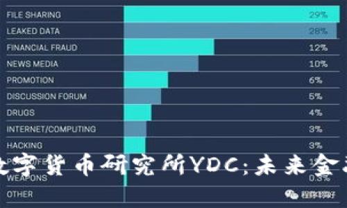 探索中国数字货币研究所YDC：未来金融的先行者