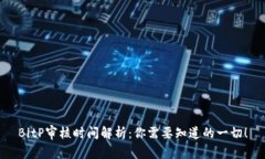 BitP审核时间解析：你需要知道的一切！