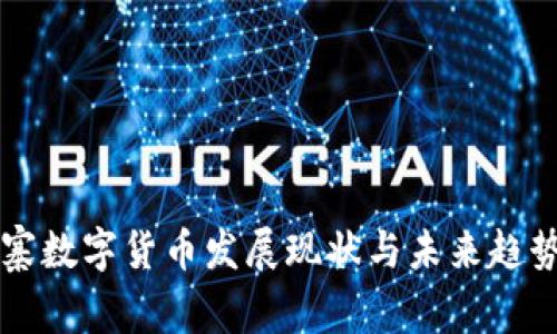 柬埔寨数字货币发展现状与未来趋势分析