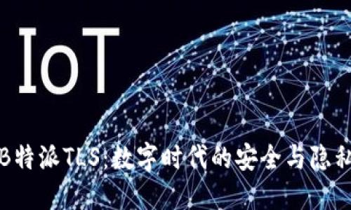 深入探讨B特派TLS：数字时代的安全与隐私双重保护