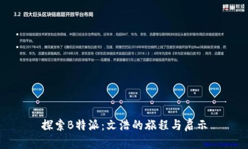 探索B特派：文浩的旅程与启示