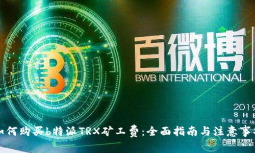 如何购买b特派TRX矿工费：全面指南与注意事项