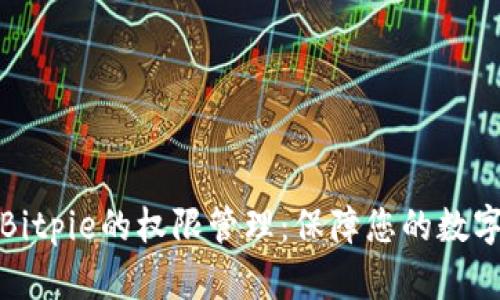 深入解析Bitpie的权限管理：保障您的数字资产安全
