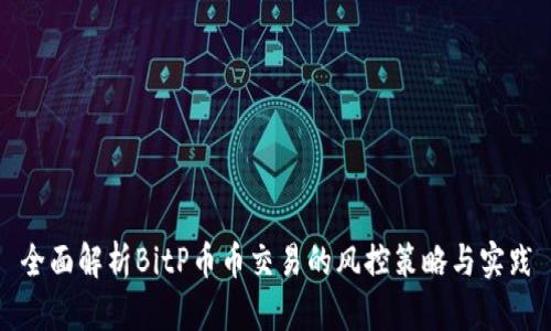 全面解析BitP币币交易的风控策略与实践