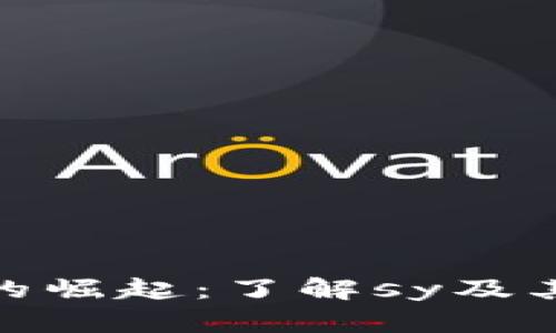 数字货币的崛起：了解sy及其未来趋势