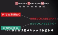 BNB：探索数字货币的未来与投资机遇