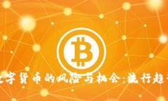: 公司投资数字货币的风险与机会：流行趋势与实