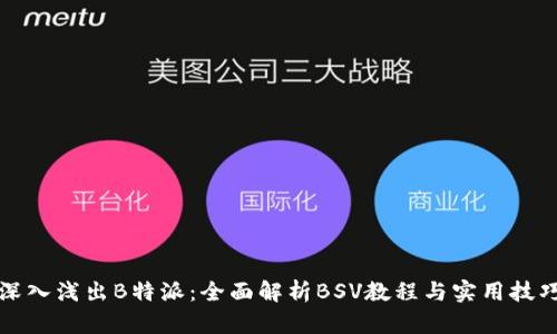 深入浅出B特派：全面解析BSV教程与实用技巧