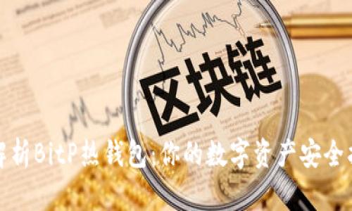 全面解析BitP热钱包：你的数字资产安全护航者