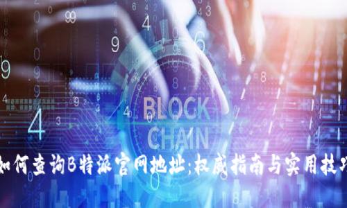 如何查询B特派官网地址：权威指南与实用技巧