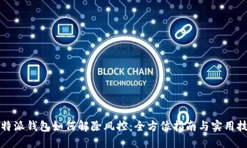 比特派钱包如何解除风控：全方位指南与实用技巧