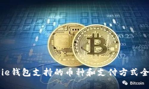 BitPie钱包支持的币种和支付方式全解析