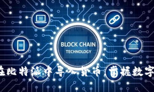 简易指南：如何在比特派中导入货币，掌握数字资产管理新趋势