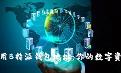 如何安全使用B特派钱包地址：你的数字资产保护策略