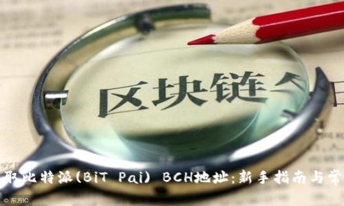 如何获取比特派(BiT Pai) BCH地址：新手指南与常见问题