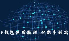 2023年最新BitP钱包使用教程：从新手到高手的全方