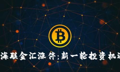 数字货币海联金汇涨停：新一轮投资机遇的到来？
