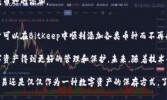    如何解决BitKeep钱包中添加币种错误的问题？