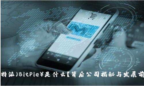 比特派（BitPie）是什么？背后公司揭秘与发展前景