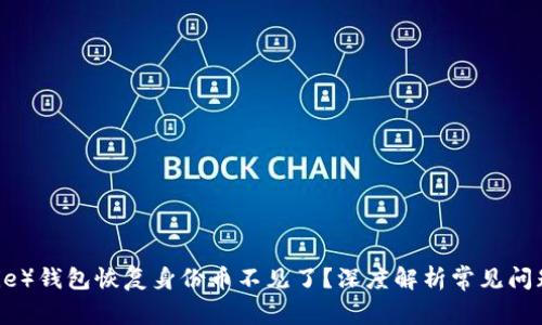 比特派（Bitpie）钱包恢复身份币不见了？深度解析常见问题与解决方案