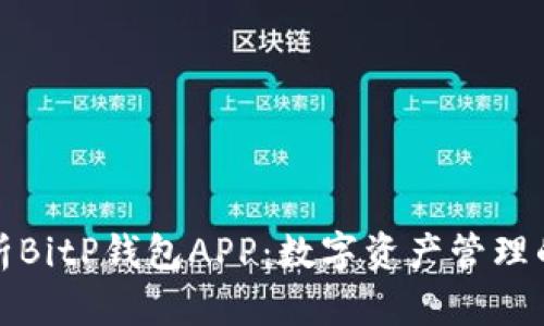 全面剖析BitP钱包APP：数字资产管理的新选择