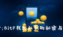 深入探讨：BitP钱包私钥的秘密与安全指南