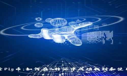 探索Pig币：如何在B特派中成功找到和使用它