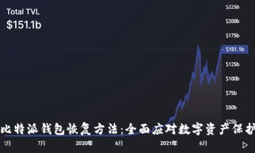 详解比特派钱包恢复方法：全面应对数字资产保护挑战