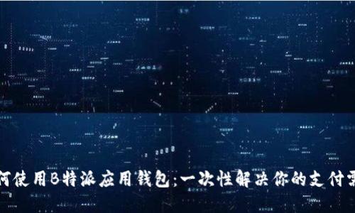 如何使用B特派应用钱包：一次性解决你的支付需求