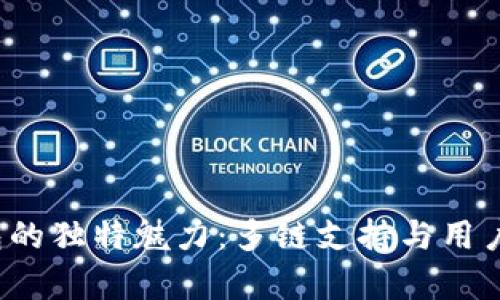 探索BitKeep钱包的独特魅力：多链支持与用户体验的完美结合