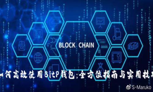 如何高效使用BitP钱包：全方位指南与实用技巧