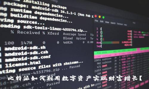 比特派如何利用数字资产实现财富增长？
