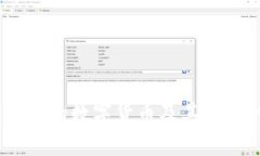 深度解析：桶哥的数字货币及其背后的投资趋势