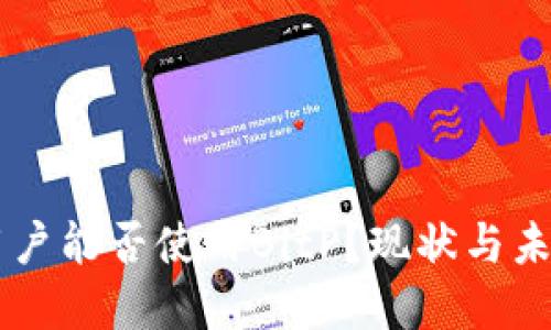 国内用户能否使用BitP？现状与未来展望