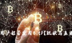 国内用户能否使用BitP？现状与未来展望