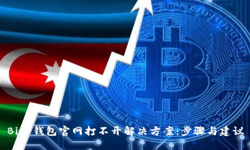 BitP钱包官网打不开解决方案：步骤与建议