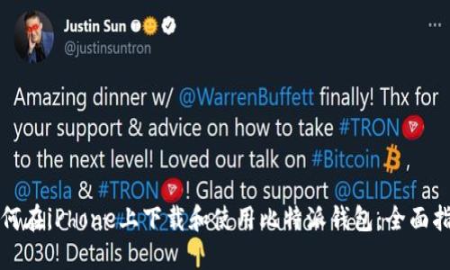 如何在iPhone上下载和使用比特派钱包：全面指南