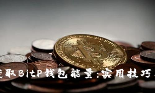 如何获取BitP钱包能量：实用技巧与策略
