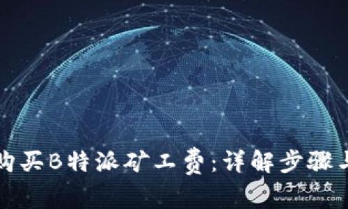 如何购买B特派矿工费：详解步骤与技巧