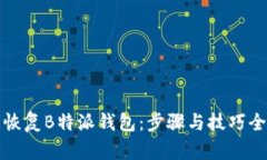 轻松恢复B特派钱包：步骤与技巧全解析