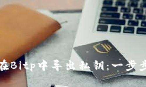 如何在Bitp中导出私钥：一步步详解