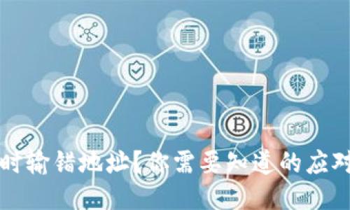 以太坊钱包转账时输错地址？你需要知道的应对措施与预防技巧