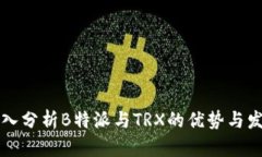 深入分析B特派与TRX的优势与发展