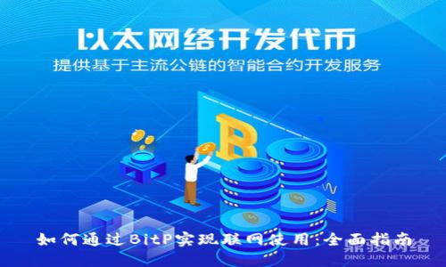 如何通过BitP实现联网使用：全面指南
