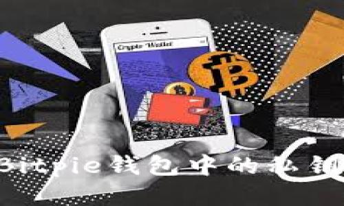 如何查看Bitpie钱包中的私钥：详细指南